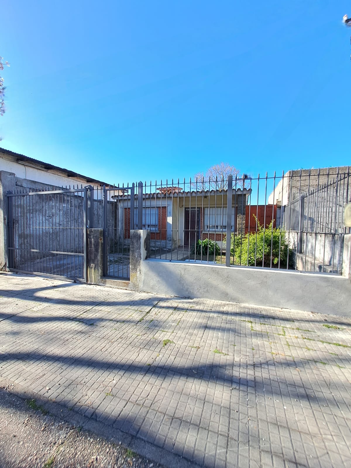 WhatsApp Image 2025-04-14 at 01.38.04.jpeg